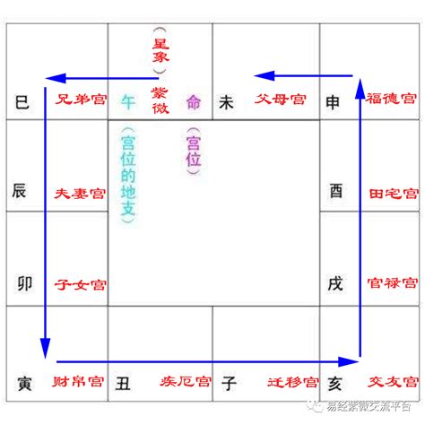 紫薇十二宫|紫薇十二宫